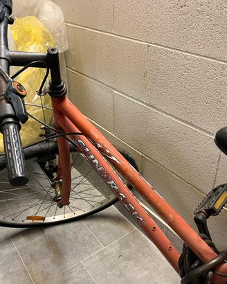 Bicicletta rossa uomo