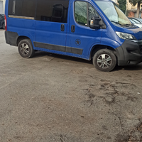 Minibus 9 posti Citroen Jumper