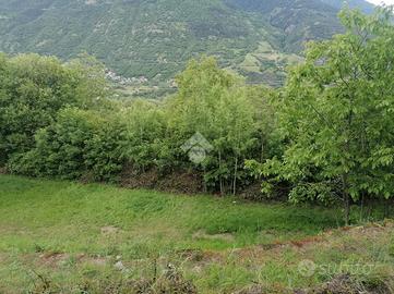 TER. AGRICOLO A AOSTA