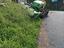 Immagine 2