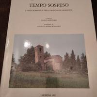 TEMPO SOSPESO - L'ARTE ROMANICA DELLE MONTAGNE MO