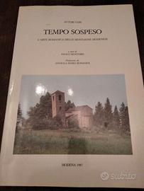TEMPO SOSPESO - L'ARTE ROMANICA DELLE MONTAGNE MO