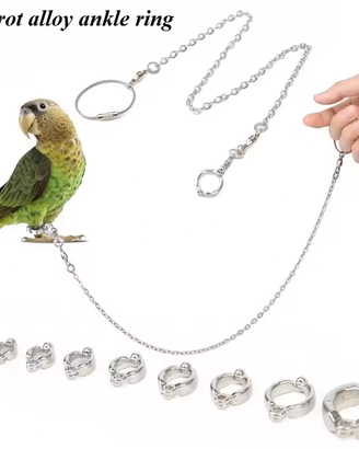 Catenella per pappagalli e volatili.