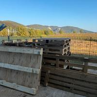 Bancali di legno e 2 bobine diametro 1.600 B