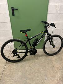 Bici montanbike 24