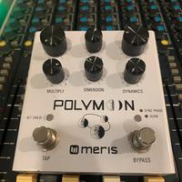 Meris Polymoon delay
