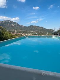 Piscina laghetto azur2000