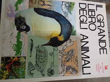 Grande libro animali