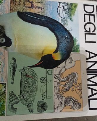 Grande libro animali