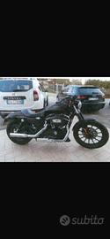 Harley Davidson 883 iron