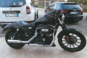 Harley Davidson 883 iron