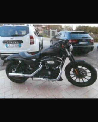 Harley Davidson 883 iron