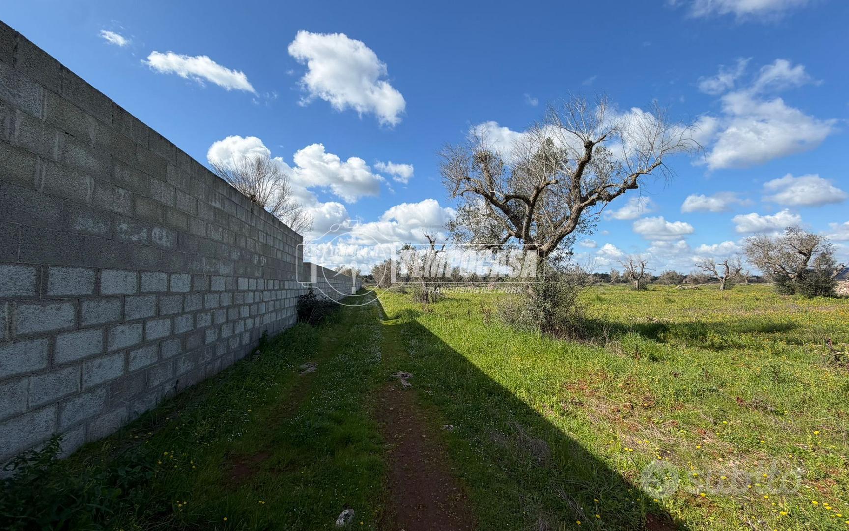 Terreno agricolo a Sanarica 1 locali - Vista 3