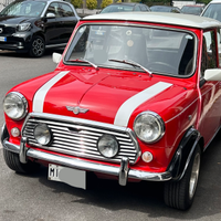 Rover Mini Cooper 1.3 cat 1991