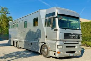 Man AK trasporto cavalli con living