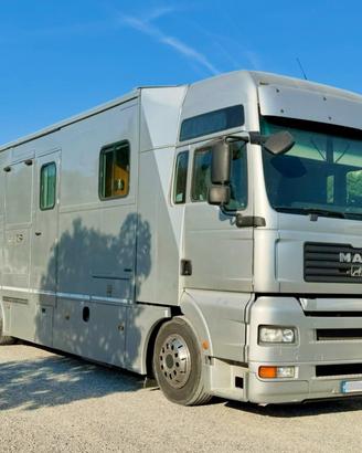 Man AK trasporto cavalli con living
