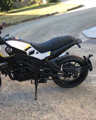Benelli Leoncino 250 - 2023