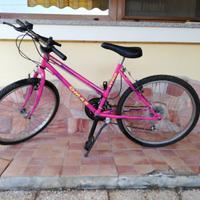 mountain bike 9 _14 anni