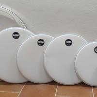 PELLI EVANS tama
