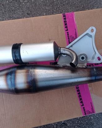 Polini EVOLUTION minarelli 