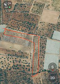 Terreno agricolo viale del bosco