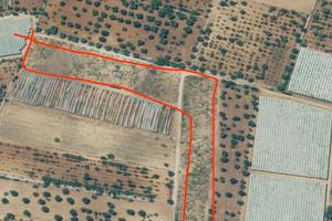 Terreno agricolo viale del bosco