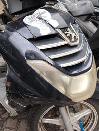 Peugeot LXR 200 - 2010