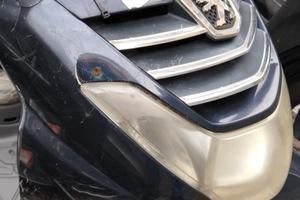 Peugeot LXR 200 - 2010