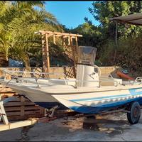 Barca a catamarano