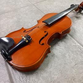 Violino