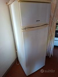 Frigo congelatore iberna