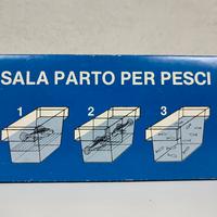 Sala parto pesci