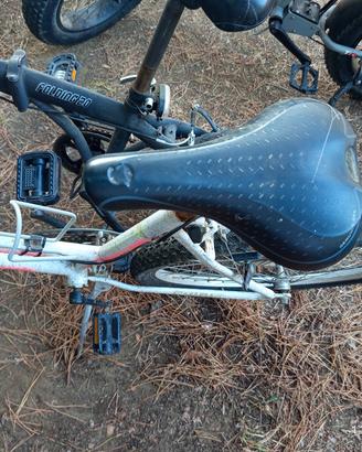 bicicletta Mountain bike 
