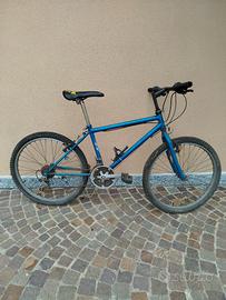 Bicicletta 24"