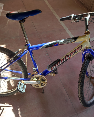 Mountain bike