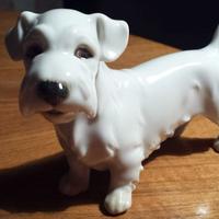 "Sealyham Terrier" porcellana 1923 Augarten Wien