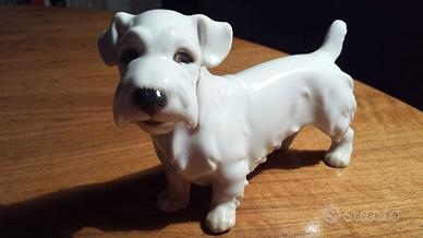 "Sealyham Terrier" porcellana 1923 Augarten Wien