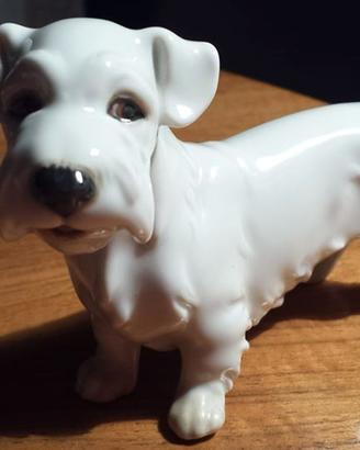 "Sealyham Terrier" porcellana 1923 Augarten Wien