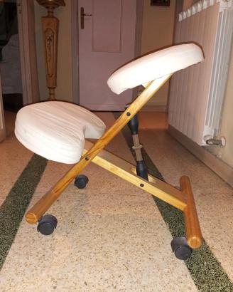 SEDIA ERGONOMICA