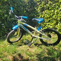 bici 16 pollici bimbo