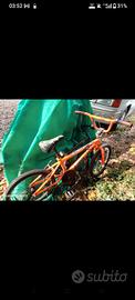 bici ragazzo 