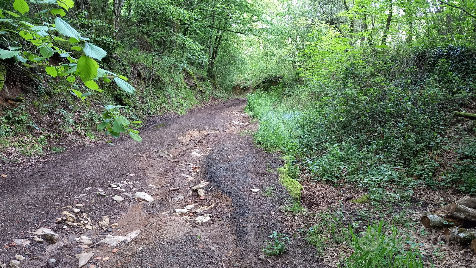 Terreno Agricolo - Vista 6