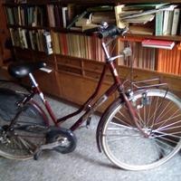 Bicicletta da donna