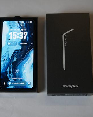 Samsung Galaxy S25 256GB  Perfetto con scatola