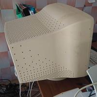 Monitor CTR della LG 21 pollici