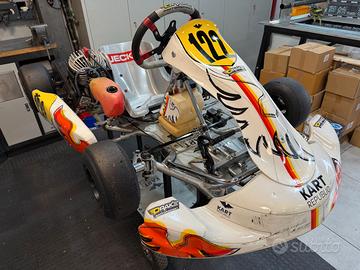 Stupendo MINI KART pronto pista KR - TM KART 60