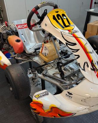 Stupendo MINI KART pronto pista KR - TM KART 60