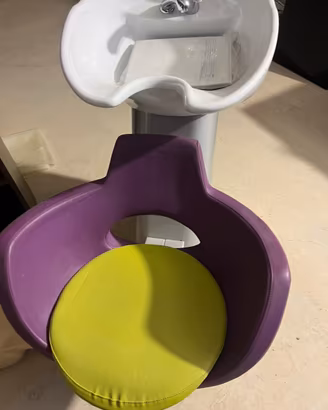Lavatesta professionale