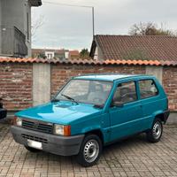 Fiat Panda 900 i.e. cat Young