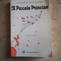 Il piccolo principe